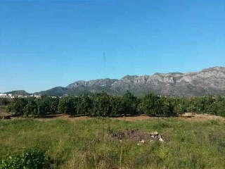 Suelos en Simat de la Valldigna 17