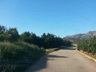 Suelos en Simat de la Valldigna 20