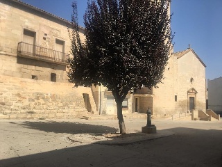 Suelo en Torregrossa 16