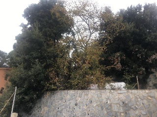 Suelo Urbano en C/ Castanyer 17