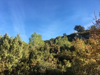Terreno Rustico en Ptda L`Arboçar, Querol (Tarragona) 23