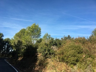 Terreno Rustico en Ptda L`Arboçar, Querol (Tarragona) 24