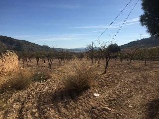 Suelo en Murcia 26