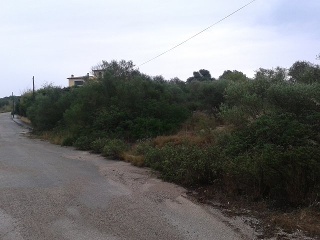 Suelo en Palma de Mallorca 26