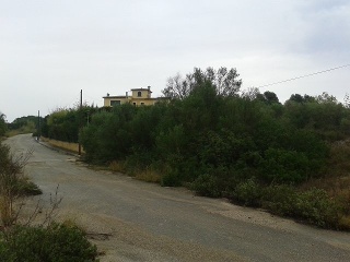Suelo en Palma de Mallorca 27