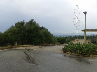 Suelo en Palma de Mallorca 32