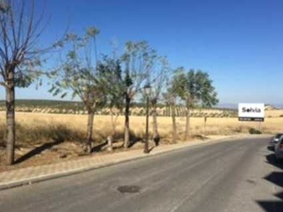 Suelo en SC Plan Parcial, Dolmen Montelirio  18