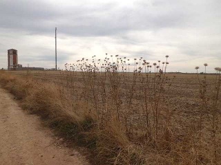 Suelo en Cabañas de la Sagra 24