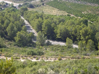 Suelo en Pego - Alicante - 25