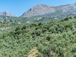 Suelo Rústico en Viñuela 15