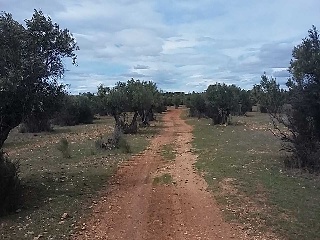 Suelo urbanizable en Pom de Quer, Quer (Guadalajara) 19