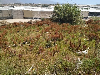 Suelo urbanizable en El Ejido - Almería - 18