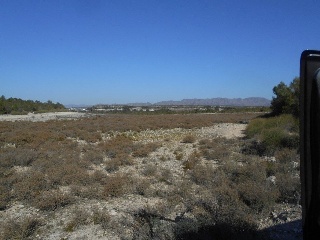 Suelo en Cieza 23
