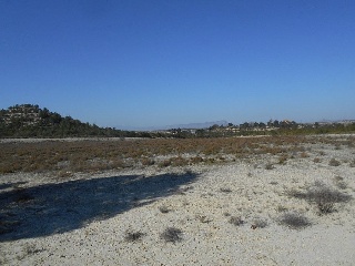 Suelo en Cieza 25