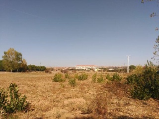 Sector Urbanización-13 20