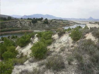 Paraje Carrasquilla 7