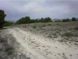 Paraje Carrasquilla 8