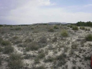 Paraje Carrasquilla 9