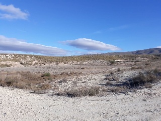 Suelo urbanizable en Paraje Benís, Cieza (Murcia) 22