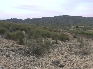 Suelo urbanizable en Paraje Benís, Cieza (Murcia) 23