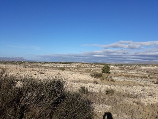 Suelo urbanizable en Paraje Benís, Cieza (Murcia) 24