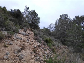 Suelos rústicos en Ptda. Baldomet - Alcalá de Xivert - Castellón 20