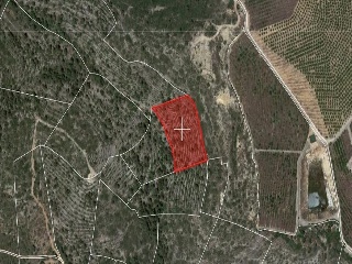 Suelos rústicos en Ptda. Baldomet - Alcalá de Xivert - Castellón 22