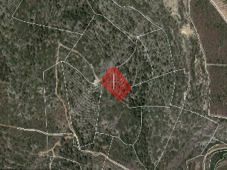 Suelos rústicos en Ptda. Baldomet - Alcalá de Xivert - Castellón 23