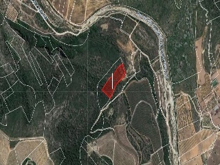 Suelos rústicos en Ptda. Baldomet - Alcalá de Xivert - Castellón 26