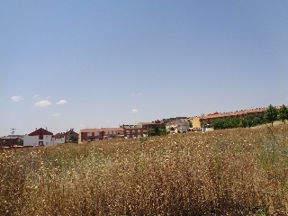 Suelo urbanizable en Zaratán - Valladolid - 13
