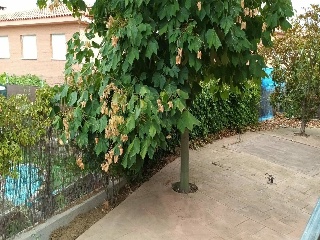 Vivienda en C/ Portugal, Méntrida (Toledo) 70