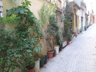 Vivienda en Tr Santa Ana 9