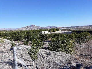 Suelos situados en Abanilla, Murcia 42