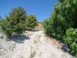 Suelos situados en Abanilla, Murcia 46