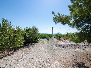 Suelos situados en Abanilla, Murcia 48