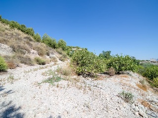 Suelos situados en Abanilla, Murcia 50