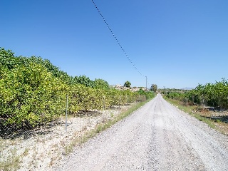 Suelos situados en Abanilla, Murcia 64