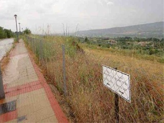 Suelo en Nalda - La Rioja - 30