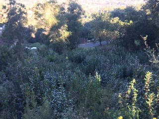 Suelo urbano consolidado en C/ Sant Felip 17