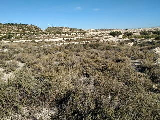 Suelo en C/ Pago de los Tollos 25