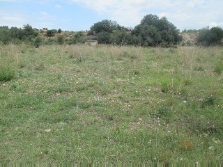 Suelo no urbanizable en Montroy, Valencia 18