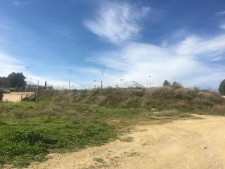 Suelo en C/ De la Pau 31