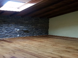 LLUEVA 29