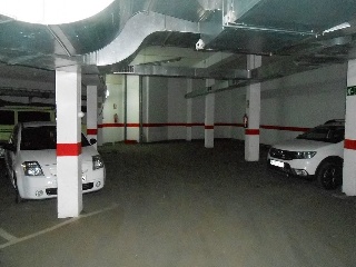 COLMENAS ESPART 9
