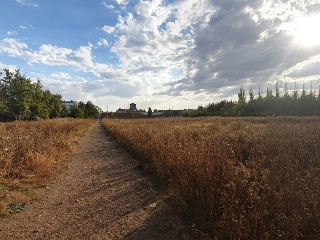 Suelos en Pa del Proyecto de Actuación del P.P. del Área 7, Palencia 24