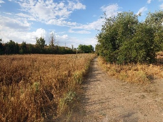 Suelos en Pa del Proyecto de Actuación del P.P. del Área 7, Palencia 25