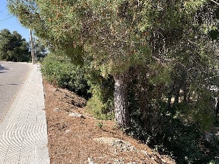 Suelo en Calafell 23