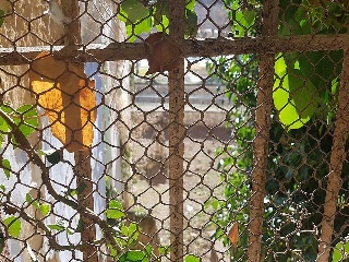 Suelo urbano en C/ Fueros de Aragón 31