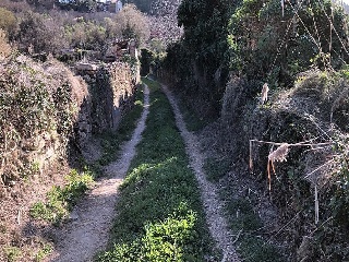 Suelo en Paraje Fuentecilla 23