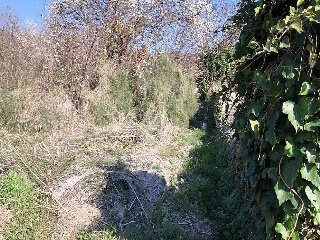 Suelo en Paraje Fuentecilla 26